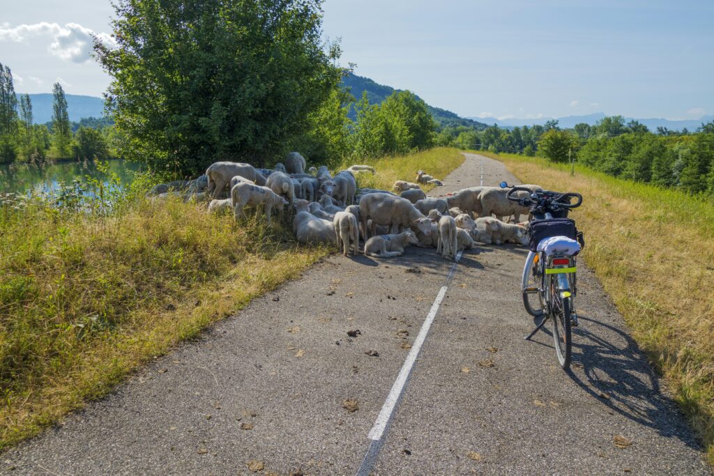 Pedalate ecologiche, Culturali e Turistiche