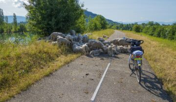 Pedalate ecologiche, Culturali e Turistiche